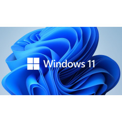 Програмен продукт Microsoft Windows 11 Pro 64Bit  Eng Intl 1pk DSP OEI DVD Version 24H2