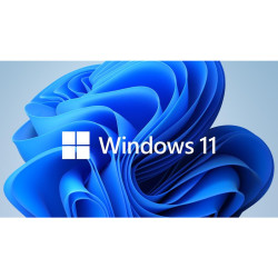 Програмен продукт Windows 11 Pro 64-bit OEM Sticker